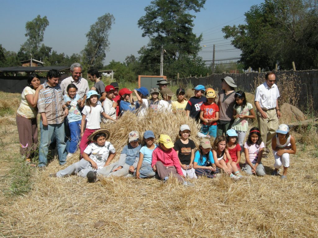 el trigo